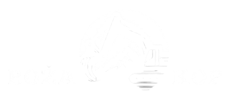 boza kop logo